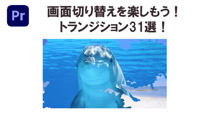 プレミアムプロ　トランジション31選