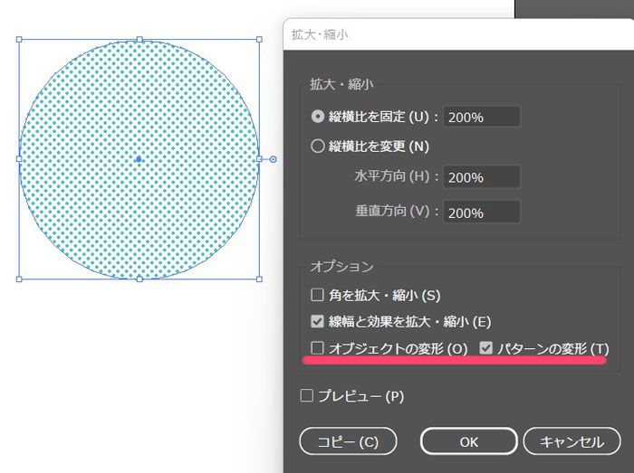 オプションのチェックをしよう